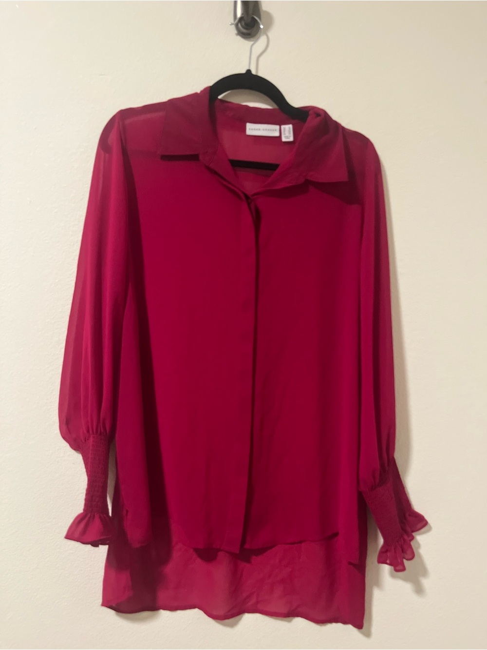 Sheer Susan graver sheer maroon top